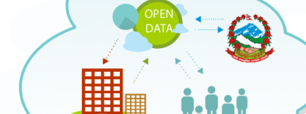 gráfico de cómo funciona el open data