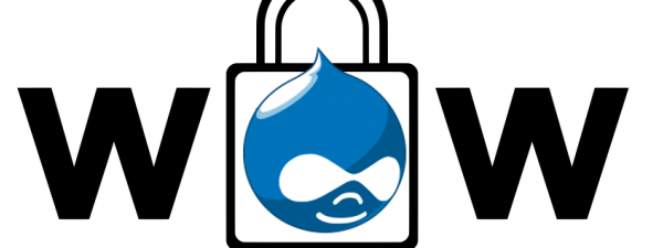 texto de w-candado-w, y dentro del candado el logotipo de drupal