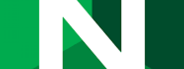 logotipo de nginx
