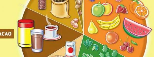 ilustración con los distintos grupos de alimentos