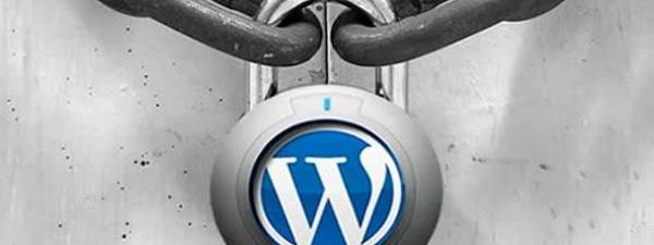 imagen de un candado con el logo de wordpress en el centro del mismo