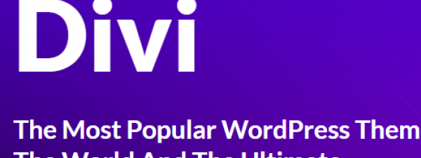 Texto sobre fondo azul: DIVI, The most popular WordPress Theme Builder