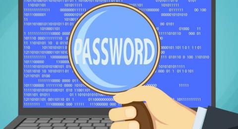 imagen de una lupa centrada en el texto password