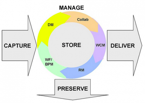 ciclos y fases en la gestión de contenidos dentro de un ECM