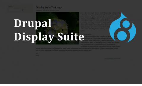 imagen de display suite junto al logo de drupal