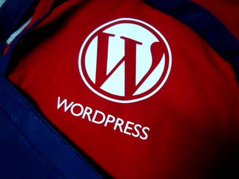 imagen de una mochila abierta con una camiseta de wordpress dentro