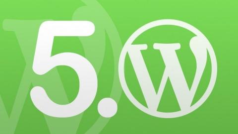 logotipo de wordpress junto con un cinco y fondo verde
