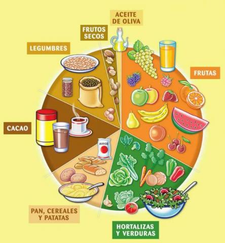 ilustración con los distintos grupos de alimentos
