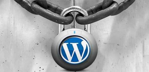 imagen de un candado con el logo de wordpress en el centro del mismo