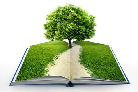libro abierto como con césped y un árbol que sale de él