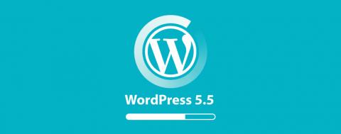 Logotipo de WordPress sobre fondo azul claro con el texto WordPress 5.5 y una barra de progreso